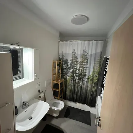 Apartment Alina Coresi Brasov