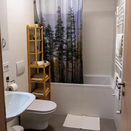 Apartment Alina Coresi