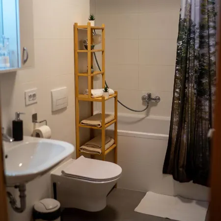 Alina Coresi Apartment Brasov